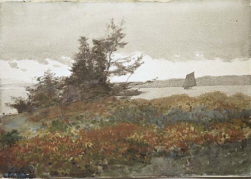 Prout's Neck: Looking Toward Old Orchard, 1883, Winslow Homer