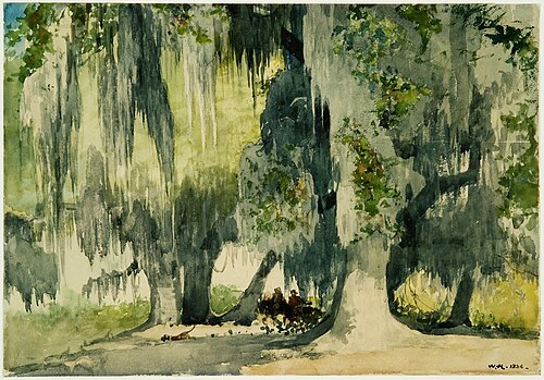 Among the Oaks (Live Oaks), 1886, Winslow Homer
