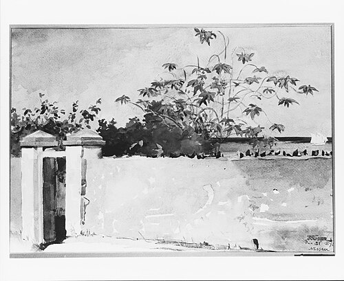 A Wall, Nassau, 1898, Winslow Homer
