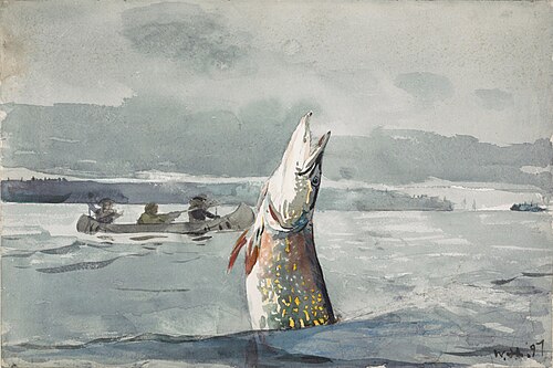 Pike, Lake St. John (Ouananiche Fishing), 1897, Winslow Homer