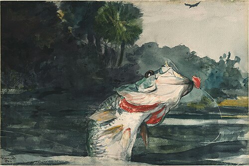 Life-Size Black Bass, 1904, Winslow Homer