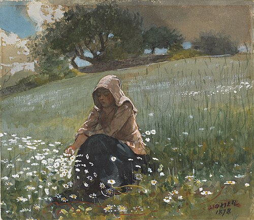 Girl and Daisies, 1878, Winslow Homer