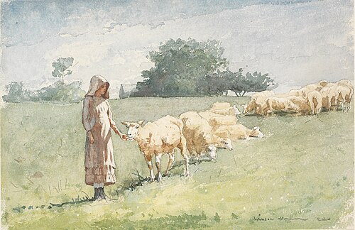 Girl and Sheep, 1880, Winslow Homer