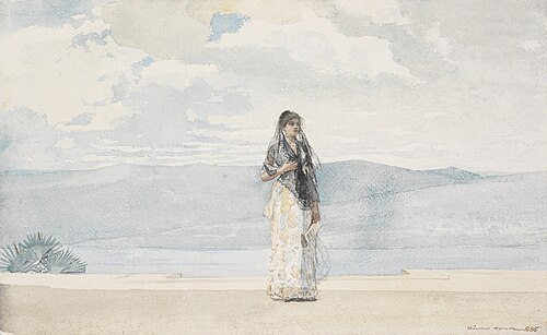 Governor's Wife, Santiago de Cuba, 1885, Winslow Homer