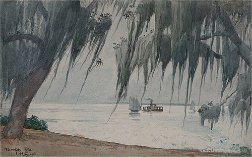 Spanish Moss, Tampa bay, Florida, 1886, Winslow Homer