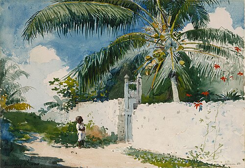 A Garden in Nassau, 1885, Winslow Homer