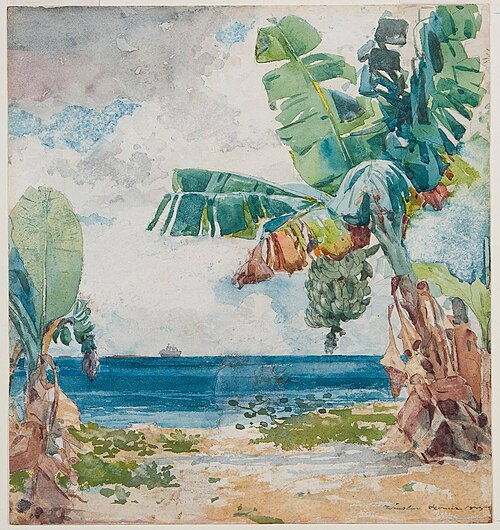 Banana Tree - Nassau, 1885, Winslow Homer