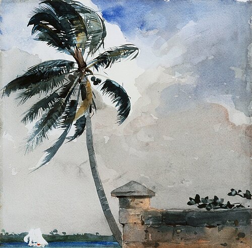 A Tropical Breeze, Nassau, 1850, Winslow Homer