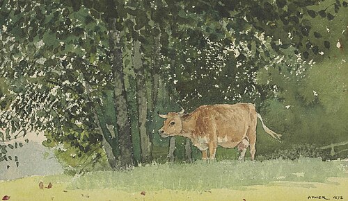 Cow in Pasture, 1878, Winslow Homer