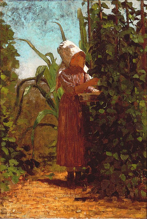 The Bean Picker, 1876, Winslow Homer