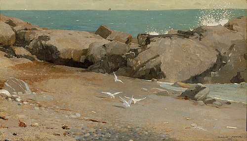 Rocky Coast and Gulls, 1869, Winslow Homer