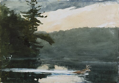 Deer in the Adirondacks, 1889, Winslow Homer
