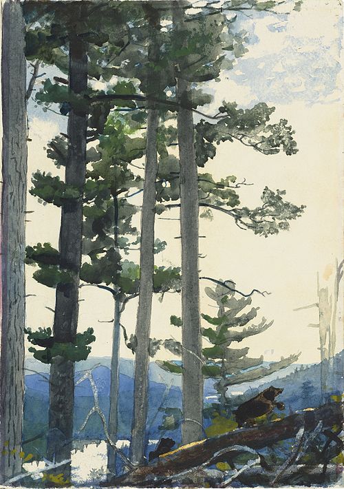 Old Settlers, 1892, Winslow Homer