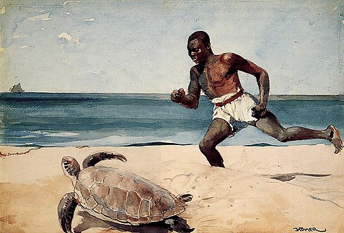 Rum Cay, 1899, Winslow Homer