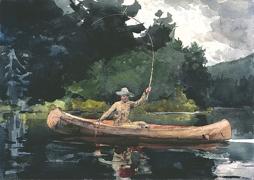The North Woods, 1894, Winslow Homer