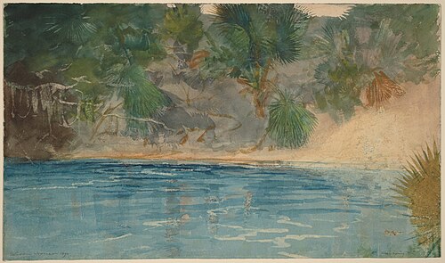 Blue Spring, Florida, 1890, Winslow Homer