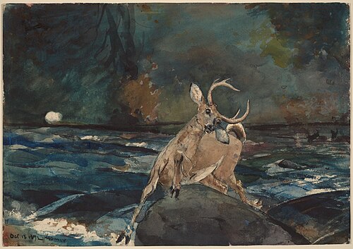 A Good Shot, Adirondacks, 1892, Winslow Homer
