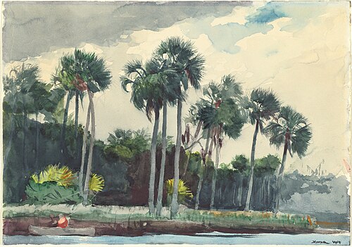 Red Shirt, Homosassa, Florida, 1904, Winslow Homer