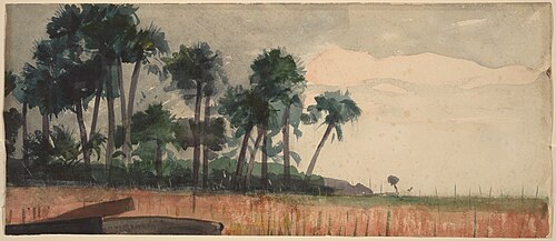 Palm Trees, Red, 1890, Winslow Homer