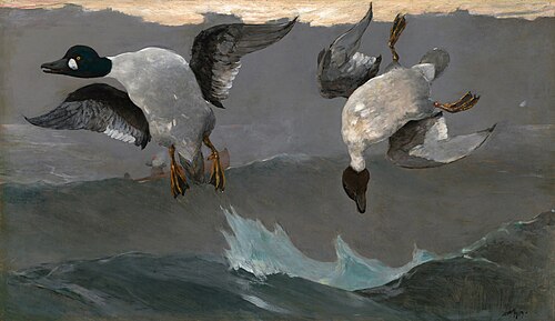 Droite et gauche, 1909, Winslow Homer