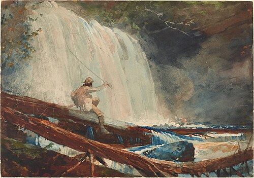Waterfall in the Adirondacks, 1889, Winslow Homer