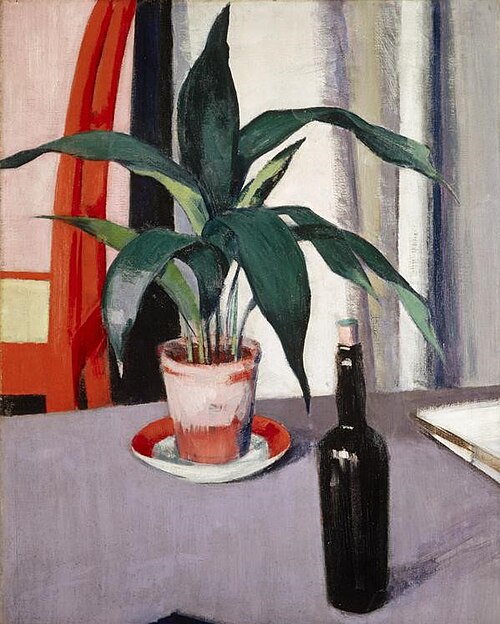 Aspidistra and Bottle on Table, , Francis Cadell