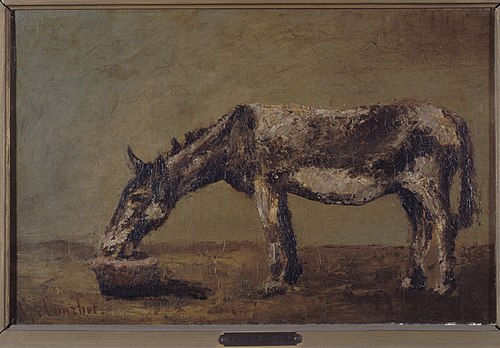 L'âne, 1862, Gustave Courbet