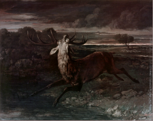 Le Cerf à l'eau, 1861, Gustave Courbet