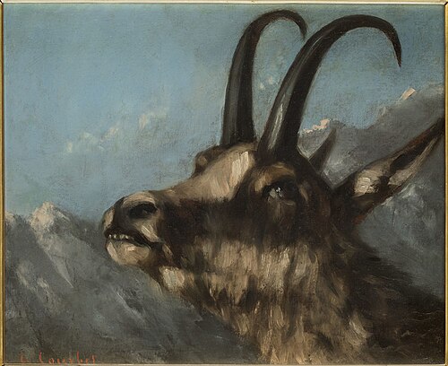 Tête de chamois, 1875, Gustave Courbet