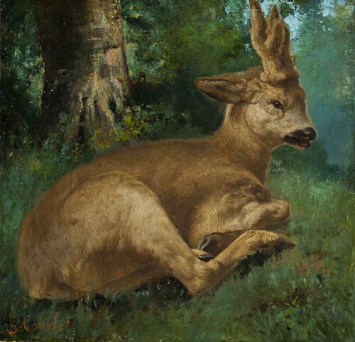 Roebuck, 1870, Gustave Courbet