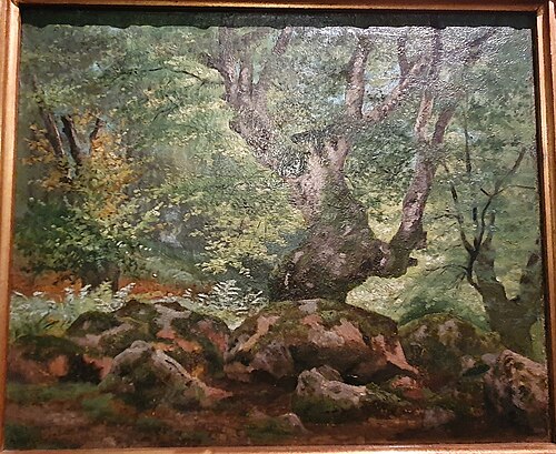 Closed woods, 1817, Gustave Courbet