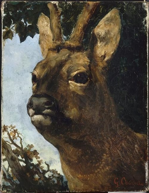 Tête de chevreuil, , Gustave Courbet