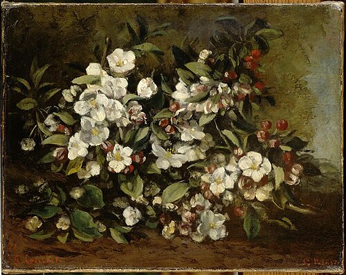 Branche de pommier en fleurs, 1872, Gustave Courbet