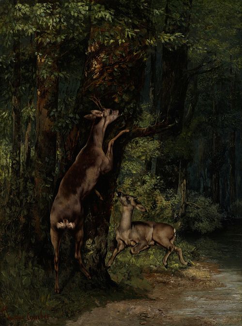 Cerf dans la forêt, 1868, Gustave Courbet