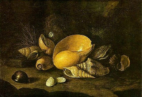 Winkles and Shells, 1800, Joaquim Manoel da Rocha