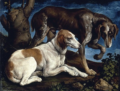 Two Hounds, 1548, Jacopo Bassano