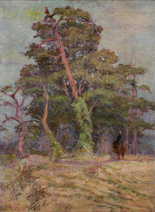 Landscape in Chikugo, 1908, Shigeru Aoki