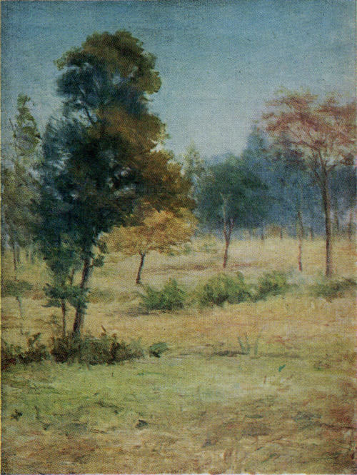 Paysage, 1910, Shigeru Aoki