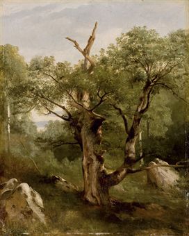 a study of a tree, 1860, Jules Coignet