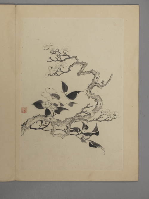 邵弥山水花卉册, , Shao Mi