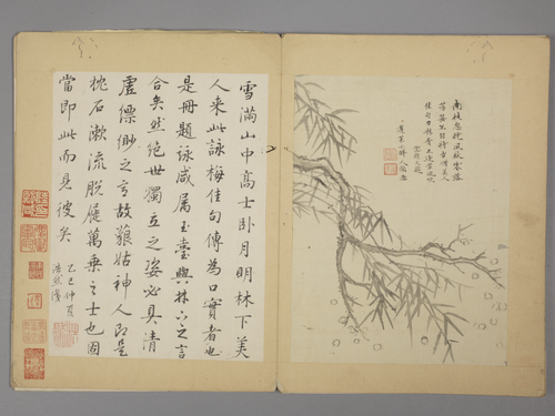 沈颢墨梅册, , Shen Hao