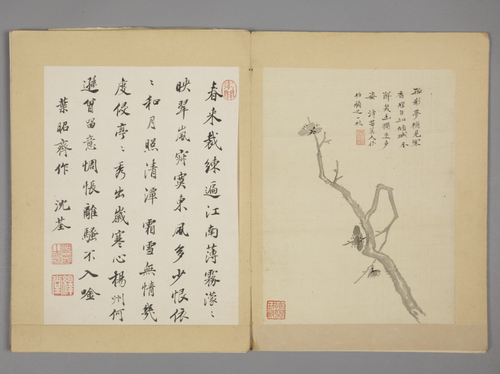 沈颢墨梅册, , Shen Hao