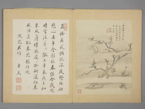 沈颢墨梅册, , Shen Hao