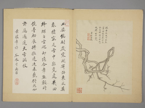 沈颢墨梅册, , Shen Hao