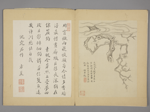 沈颢墨梅册, , Shen Hao