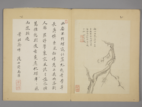 沈颢墨梅册, , Shen Hao