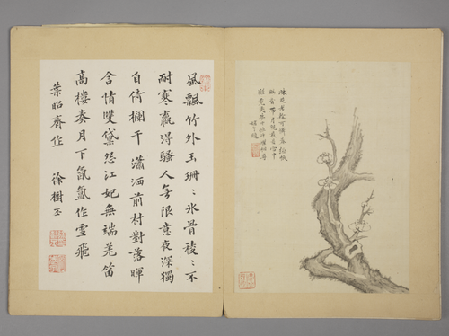 沈颢墨梅册, , Shen Hao