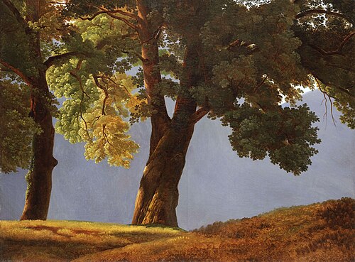 Arbres devant une vallée, , Simon Denis