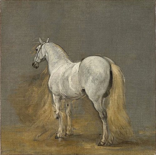 Cheval blanc, 1675, Adam François van der Meulen