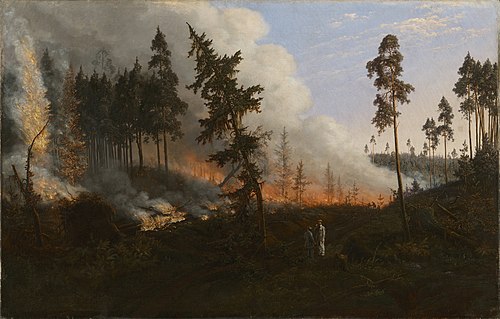 Forest fire, 1860, Wincenty Dmochowski